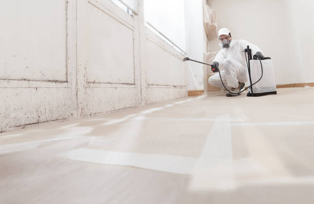 24/7 Emergency Mold Removal experts in Gladstone, NJ